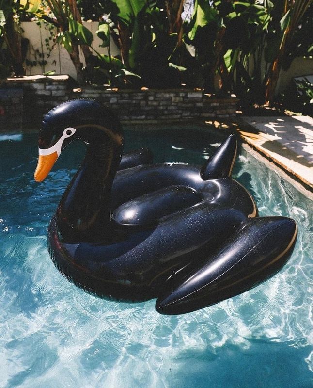 Unicorn Flamingo Plage gonflable radeau lac piscine gonflable cygne pour adulte