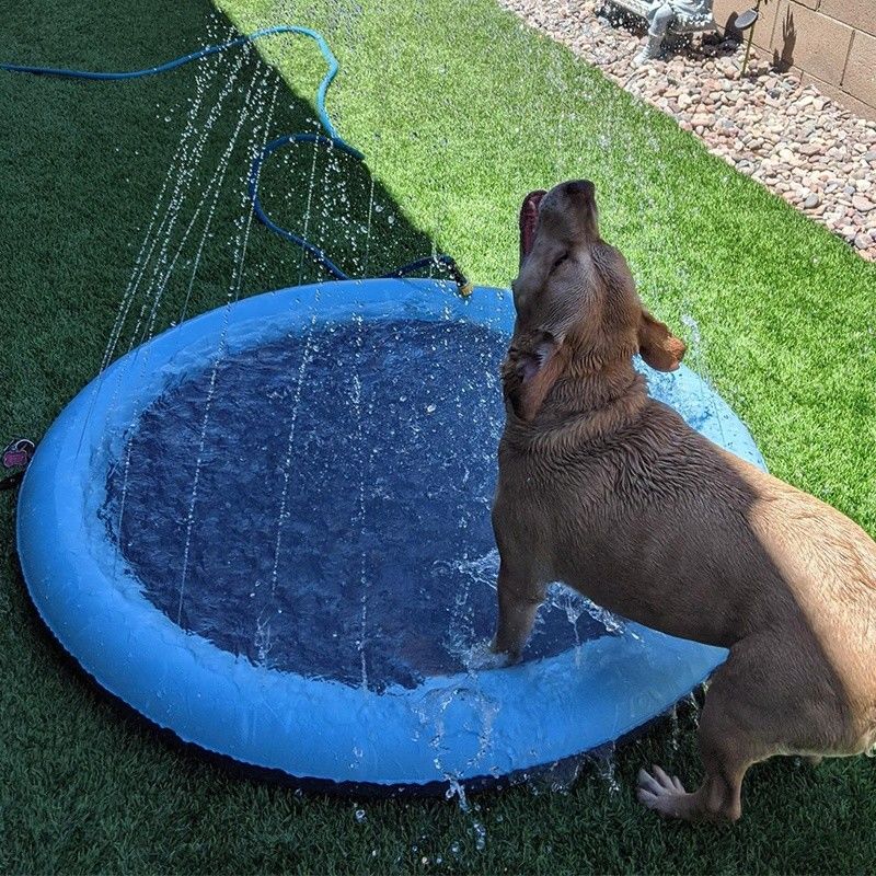LC éclaboussure d'eau pour chiens éclaboussure de douche pour animaux de compagnie PVC jouets pour animaux de compagnie éclaboussure pour chien