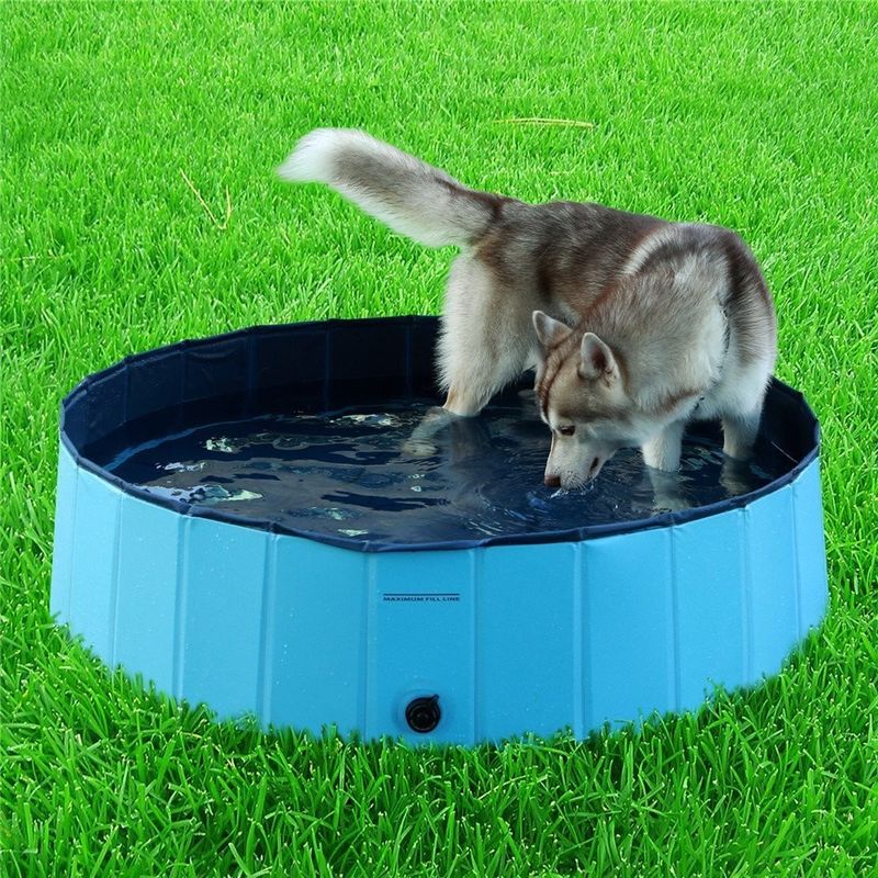 Outil de nettoyage 120cm baignoire portable pour chien pour la maison piscine pliable pour animaux de compagnie