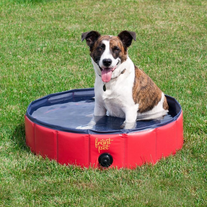 Outil de nettoyage 120cm baignoire portable pour chien pour la maison piscine pliable pour animaux de compagnie